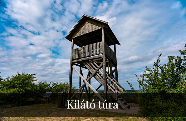 Kilátó túra