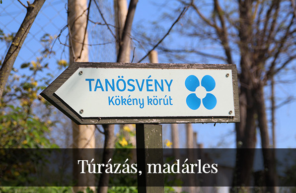 Túrázás, madárles